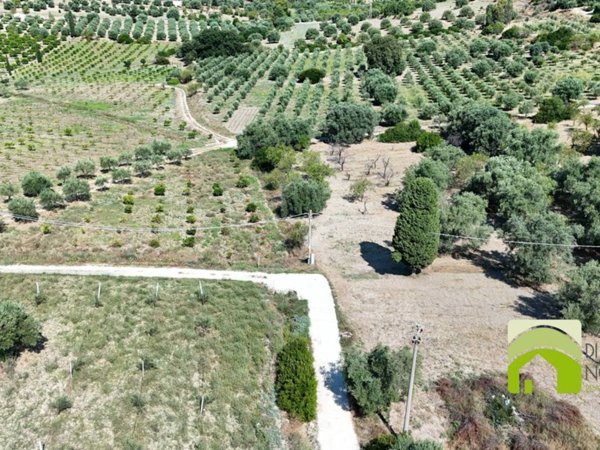 terreno agricolo in vendita a Noto