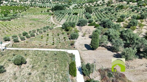 terreno agricolo in vendita a Noto