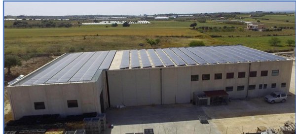 azienda agricola in vendita a Noto in zona San Lorenzo