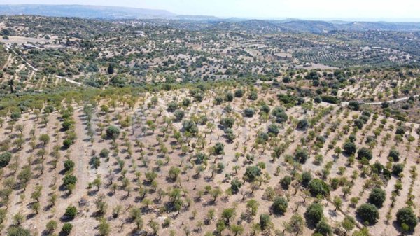 casa indipendente in vendita a Noto in zona Vendicari