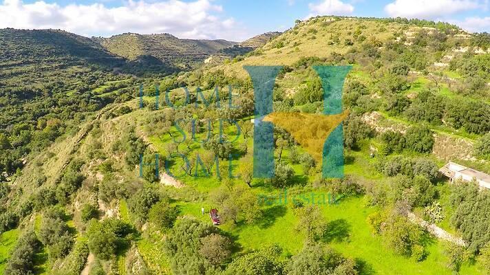 negozio in vendita a Noto in zona Vendicari