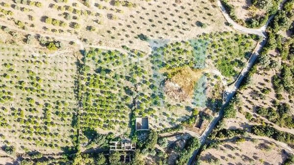 negozio in vendita a Noto in zona Vendicari