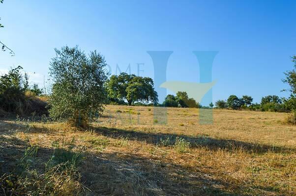 negozio in vendita a Noto