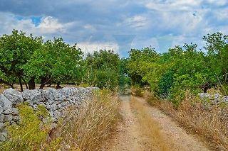 negozio in vendita a Noto