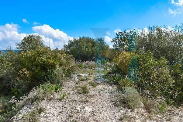 negozio in vendita a Noto