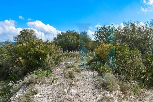 negozio in vendita a Noto