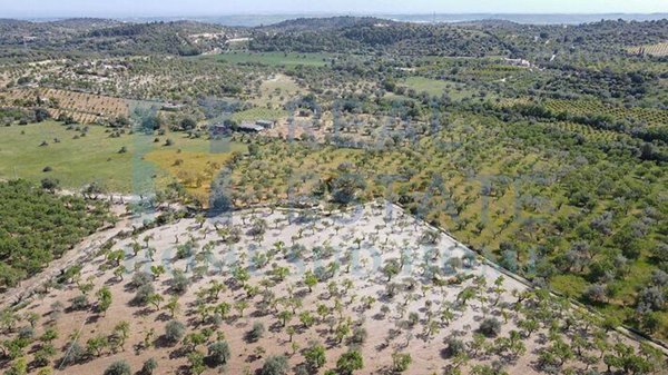 negozio in vendita a Noto