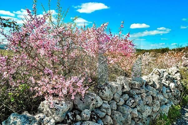 negozio in vendita a Noto