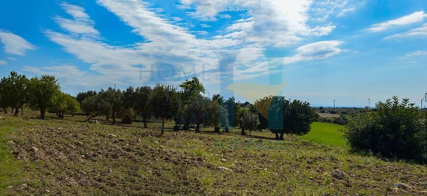 negozio in vendita a Noto in zona Vendicari