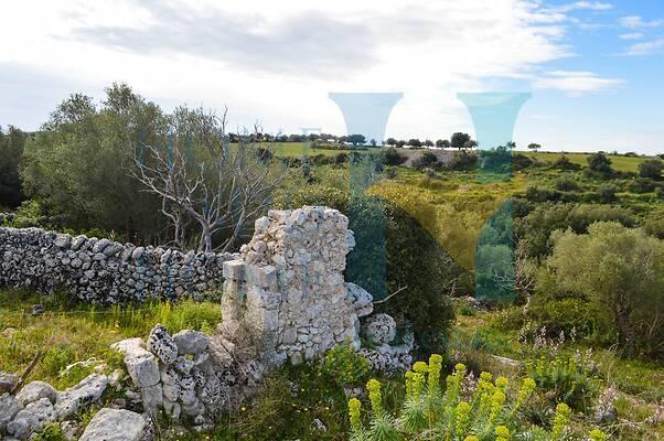 negozio in vendita a Noto