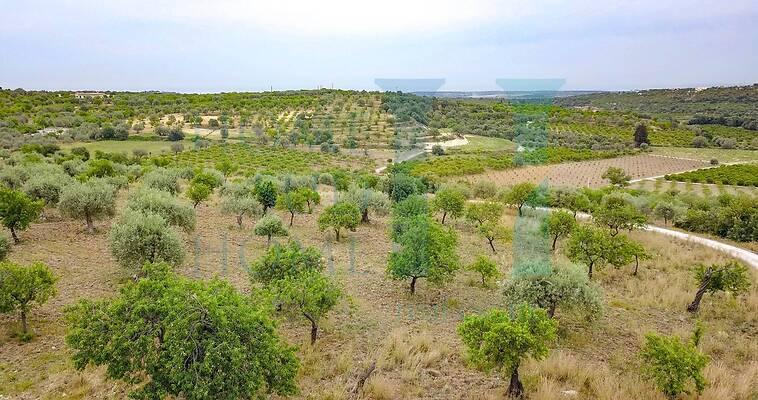 negozio in vendita a Noto in zona Vendicari