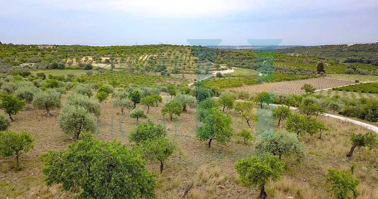 negozio in vendita a Noto in zona Vendicari