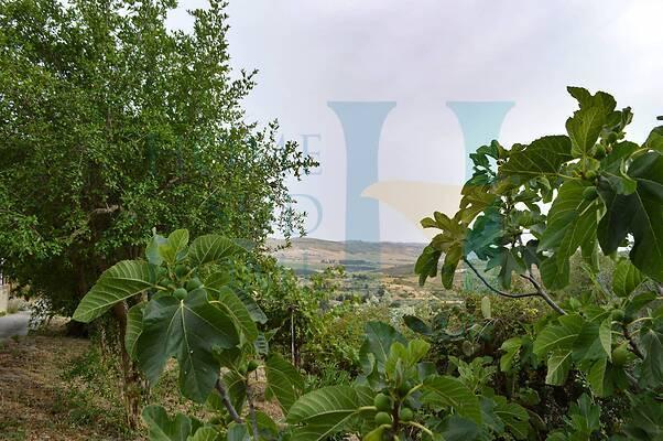 negozio in vendita a Noto
