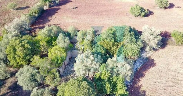 negozio in vendita a Noto