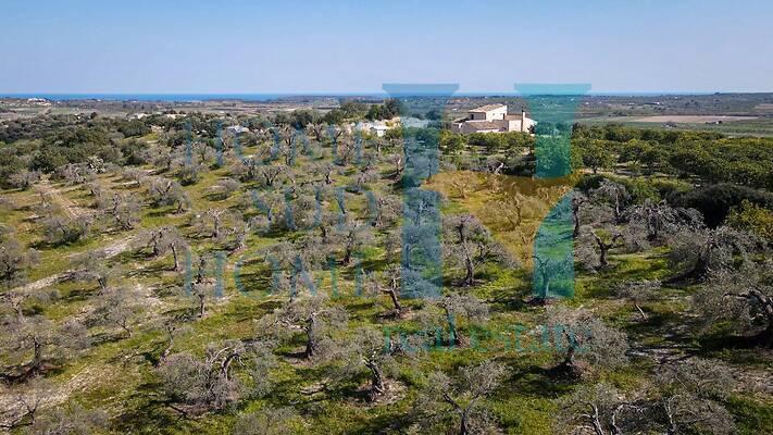 negozio in vendita a Noto