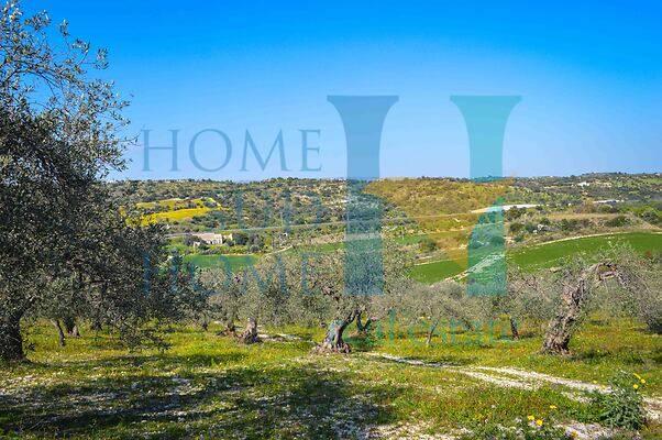 negozio in vendita a Noto