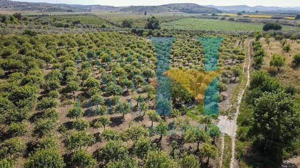negozio in vendita a Noto