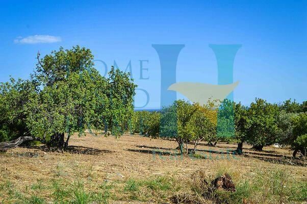 negozio in vendita a Noto