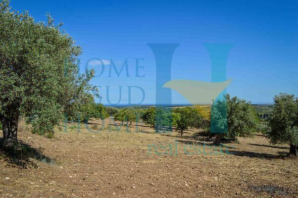 negozio in vendita a Noto