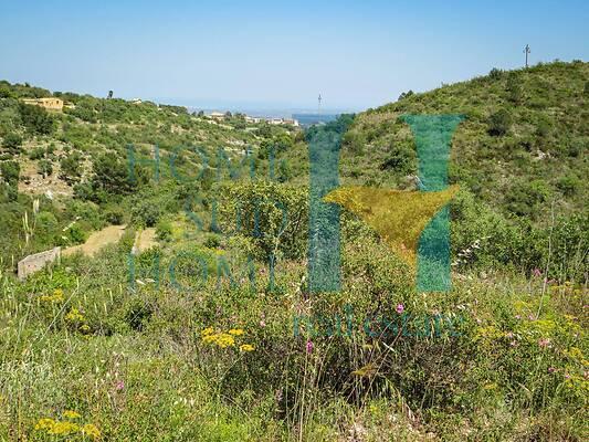 negozio in vendita a Noto