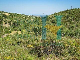 negozio in vendita a Noto