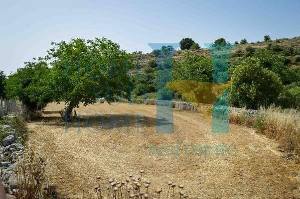 negozio in vendita a Noto