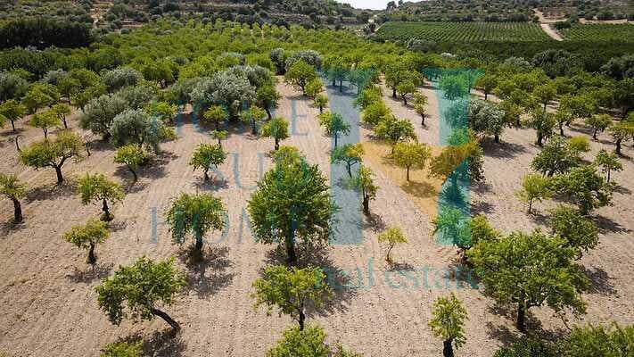 negozio in vendita a Noto