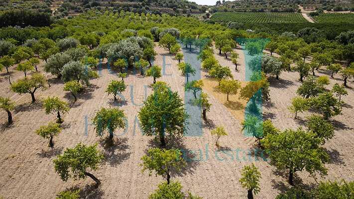 negozio in vendita a Noto