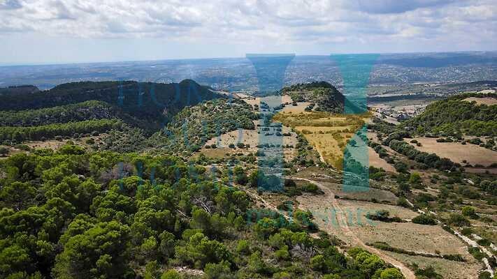 negozio in vendita a Noto