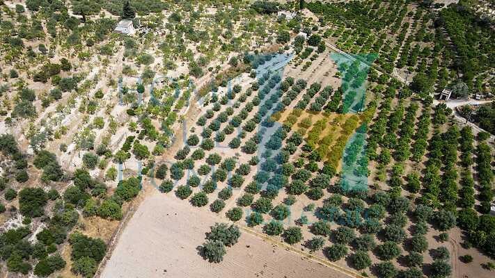 negozio in vendita a Noto