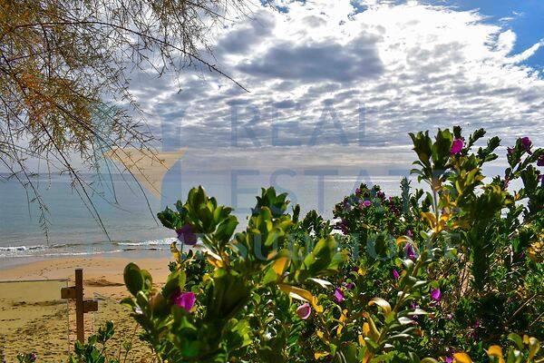 negozio in vendita a Noto
