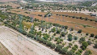 negozio in vendita a Noto