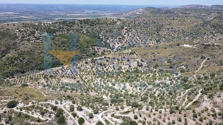 terreno edificabile in vendita a Noto