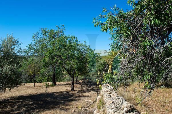 terreno edificabile in vendita a Noto in zona Vendicari
