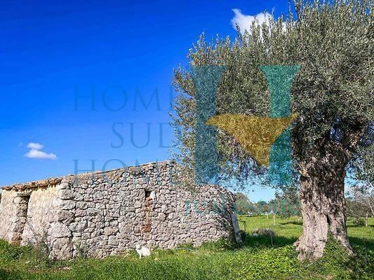 casa indipendente in vendita a Noto in zona Vendicari