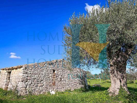 casa indipendente in vendita a Noto in zona Vendicari