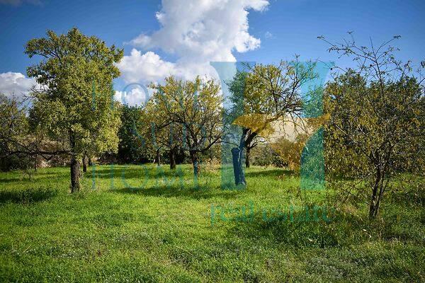 casa indipendente in vendita a Noto in zona Vendicari