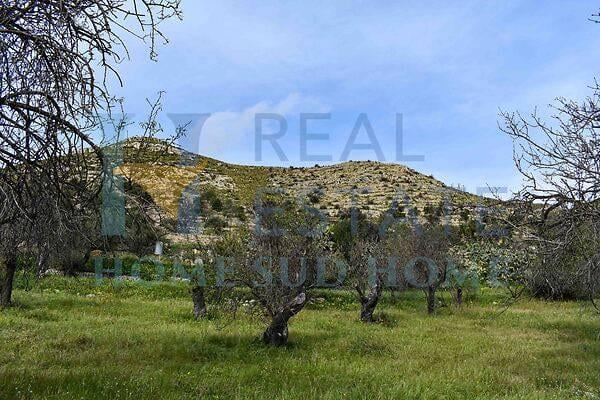 casa indipendente in vendita a Noto