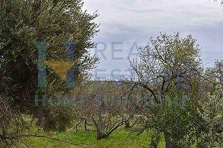 casa indipendente in vendita a Noto