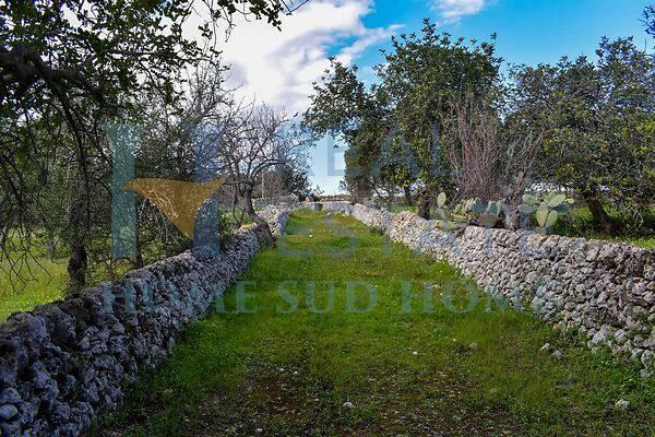 terreno agricolo in vendita a Noto in zona Vendicari
