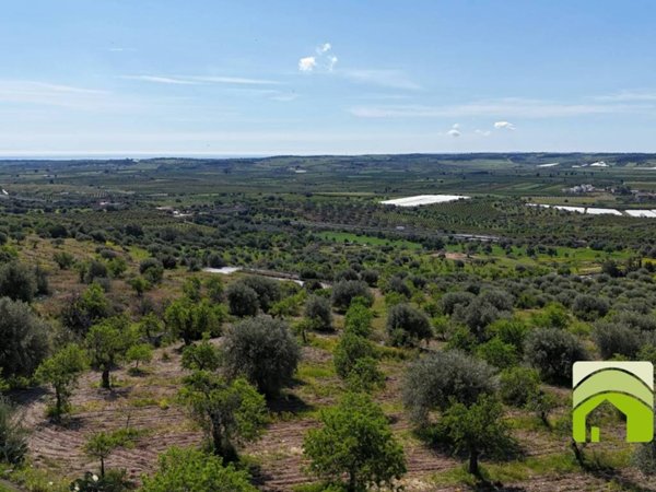 terreno agricolo in vendita a Noto in zona San Paolo