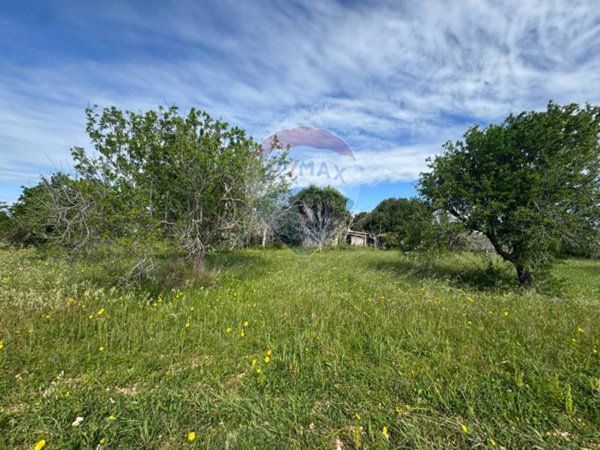 casa indipendente in vendita a Noto in zona San Lorenzo