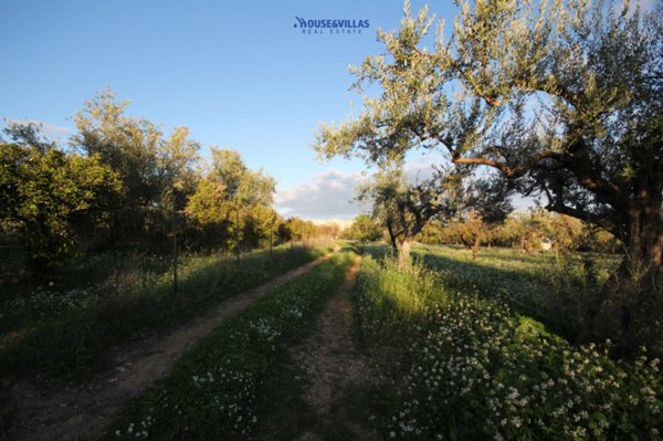 terreno agricolo in vendita a Noto