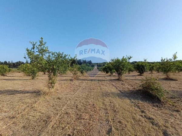terreno agricolo in vendita a Noto in zona Vendicari