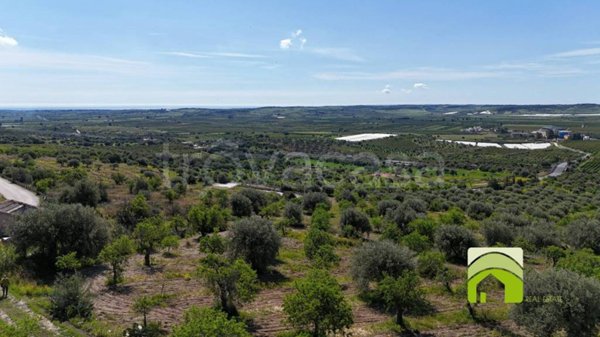 terreno agricolo in vendita a Noto in zona San Paolo