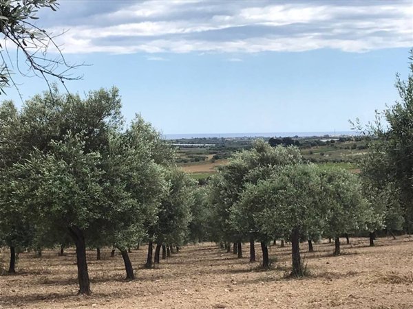 terreno agricolo in vendita a Noto in zona Vendicari