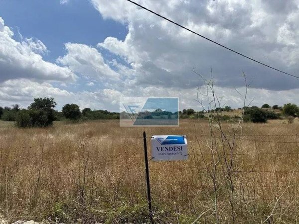 terreno agricolo in vendita a Noto in zona Testa dell'Acqua
