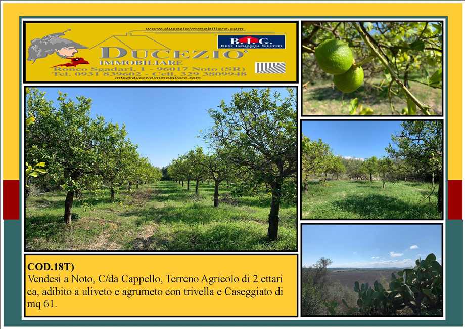 terreno agricolo in vendita a Noto