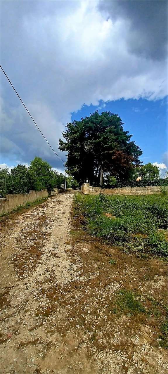 terreno agricolo in vendita a Noto