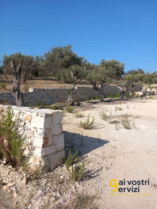 casa indipendente in vendita a Noto in zona San Lorenzo